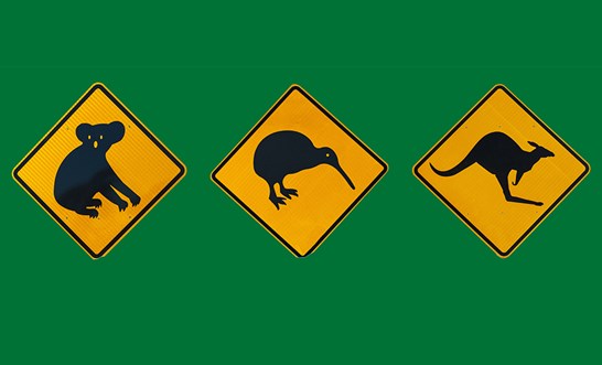 Permanent residency options for New Zealanders living in Australia